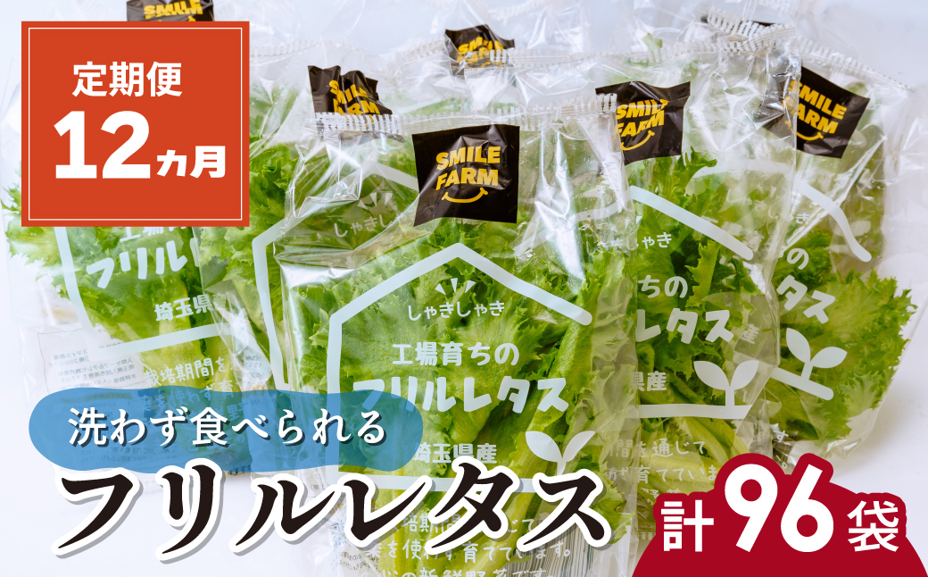 【定期便12ヶ月】 ＜洗わず食べられる・室内水耕栽培＞ フリルレタス 8袋(80～110g/袋)×12ヶ月 計96袋
