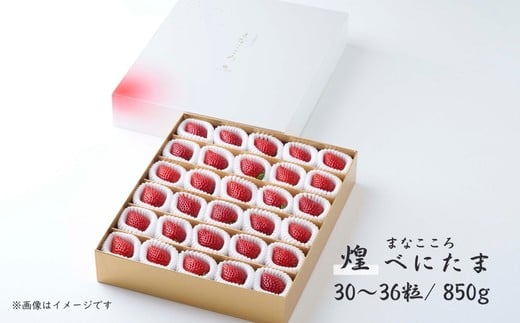 【先行予約】べにたま 特別贈答用 まなこころ・煌（850g【30～36粒】）