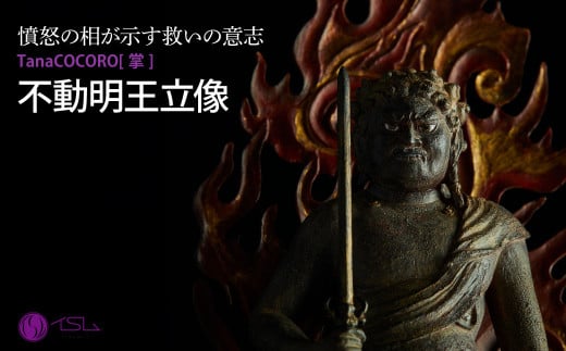 TanaCOCORO[掌] 不動明王立像