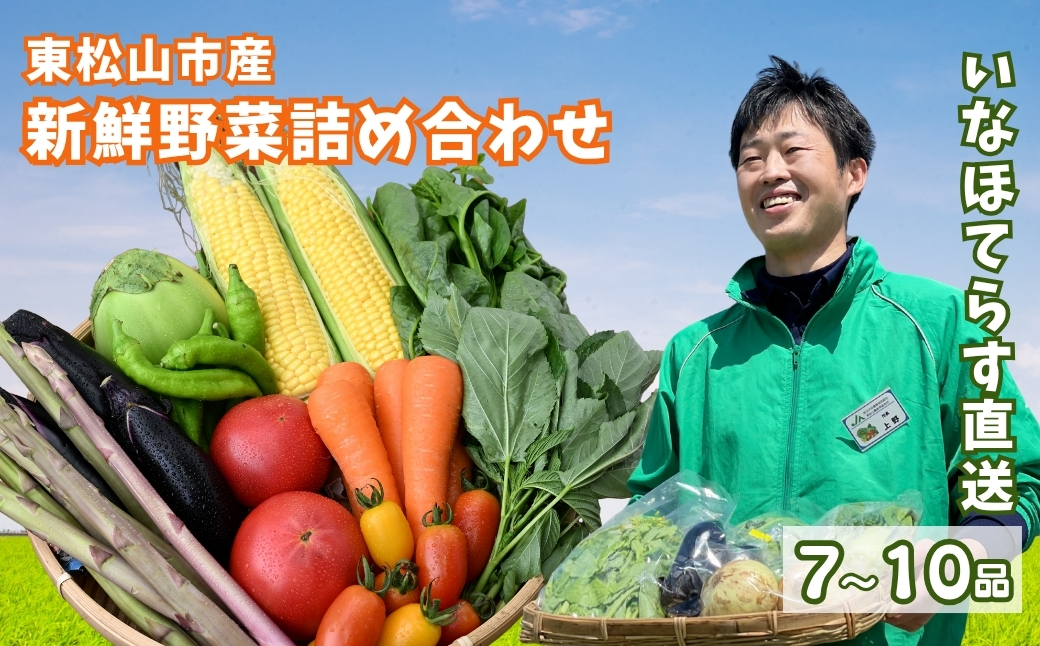 季節の野菜詰合せセット 7~10品