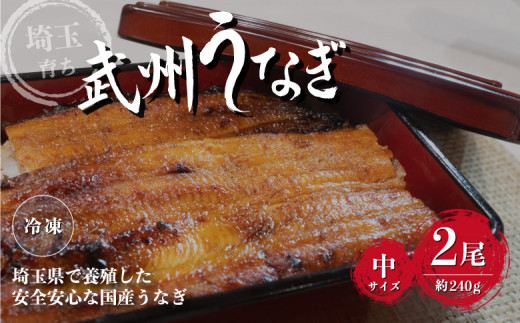 武州うなぎ 国産うなぎ蒲焼 2尾 中サイズ 冷凍真空パック（約240g）【埼玉県 東松山市 母の日 鰻 父の日ウナギ 誕生日プレゼント 鰻の蒲焼き  特選品 美味しいお取り寄せ 贈り物 グルメ 旬 おすすめ 国産 大きいサイズ 選べる 家庭用 ギフト 冷凍真空パック レンジ 御歳暮 ...