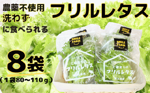 [農薬不使用]洗わず食べられる!フリルレタス 8袋[フリルレタス レタス サラダ 野菜 緑黄色野菜 ]