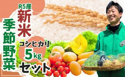 [令和5年 新米]東松山市産 おいしいコシヒカリ5kgと季節野菜のセット (白米 新鮮 野菜 詰め合わせ 東松山)