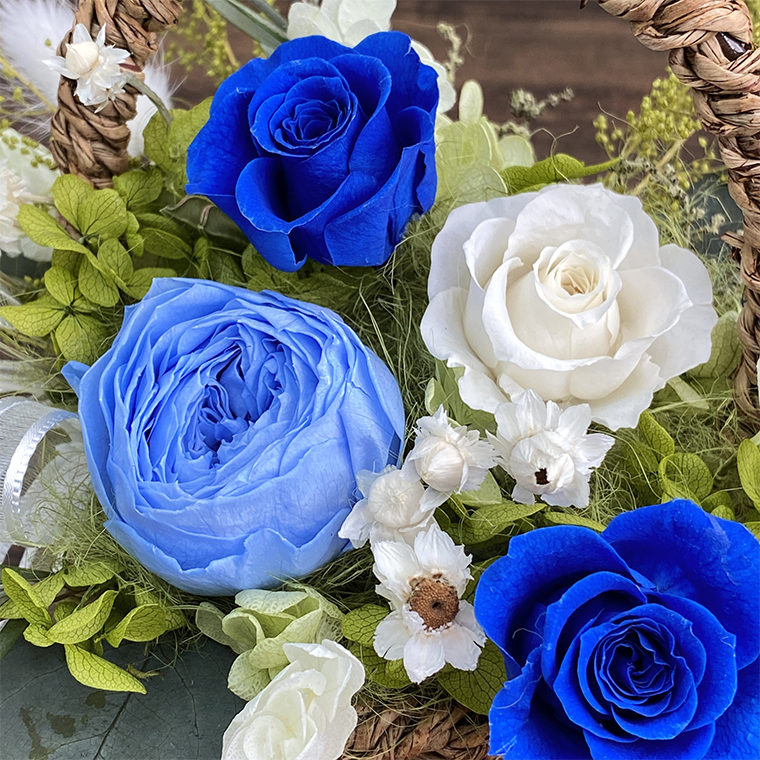 AJ020-2 プリザーブドフラワー　コロレ　ブルー　春日部市 シュガーパイン