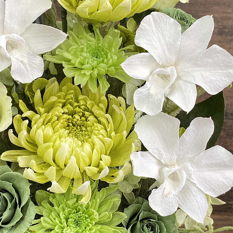 AJ142-2 プリザーブドフラワー 天寧 緑 春日部市 シュガーパイン