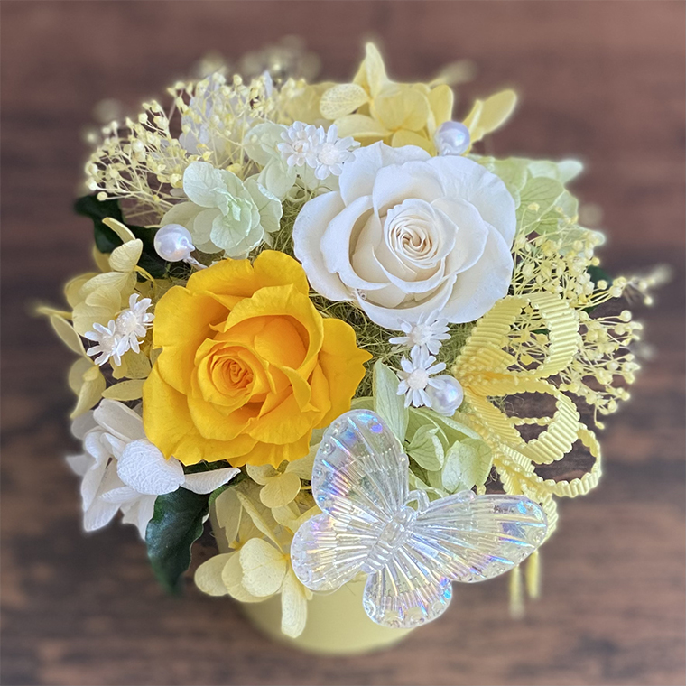 AJ155-1  プリザーブドフラワー フロットン３色セット イエロー／ピンク／ブルー 春日部市 シュガーパイン