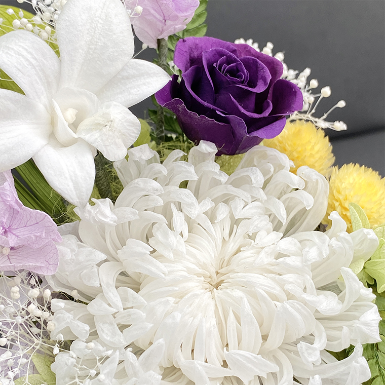 AJ166-2 プリザーブドフラワー 萌音（もね） 白  春日部市 シュガーパイン