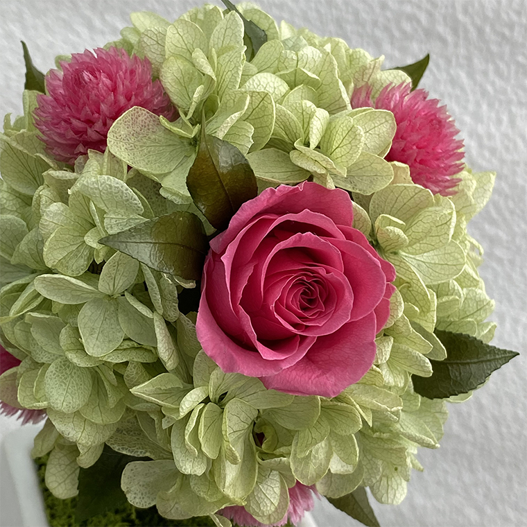 AJ185-1 プリザーブドフラワー【プティシュシュ/ピンク】春日部市 シュガーパイン