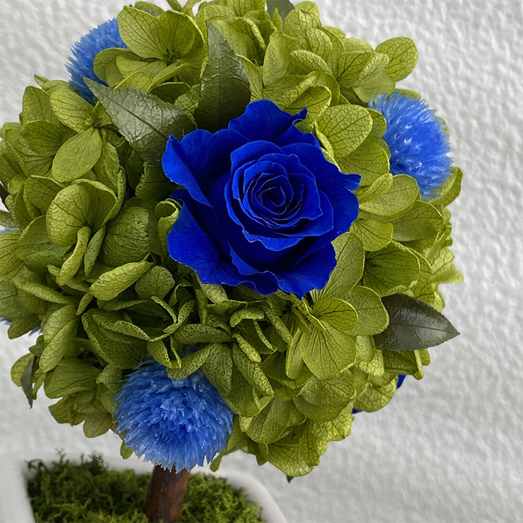 AJ186-1 プリザーブドフラワー【プティシュシュ/ブルー】春日部市 シュガーパイン