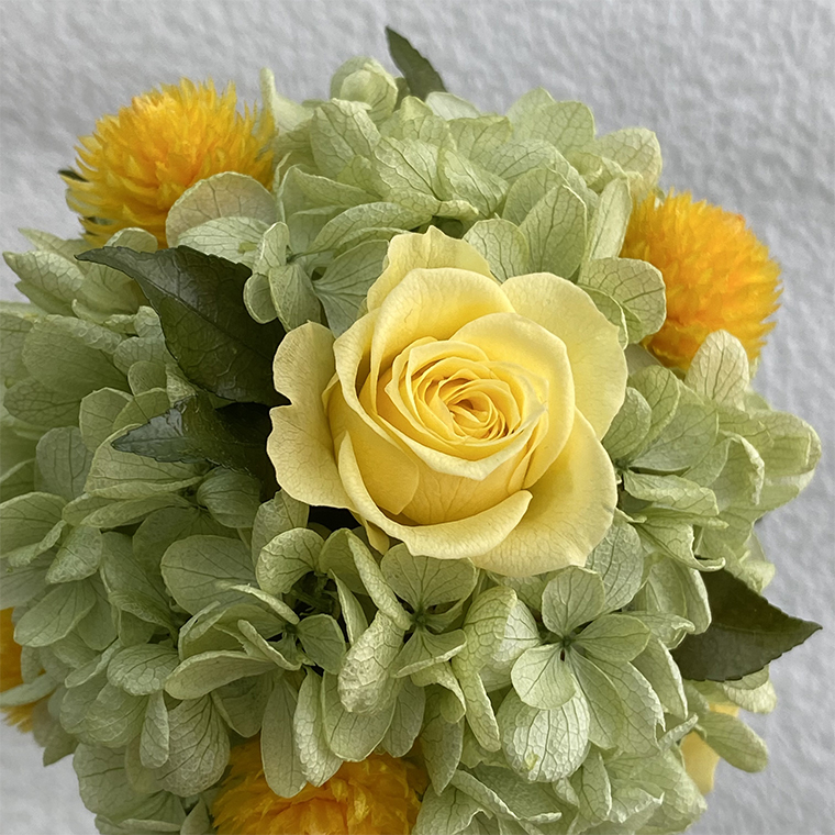 AJ187-1 プリザーブドフラワー【プティシュシュ/イエロー】春日部市 シュガーパイン