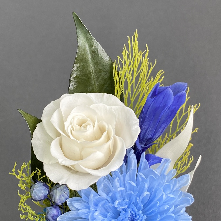 プリザーブドフラワー　藍（らん）　春日部市　シュガーパイン（AJ240）