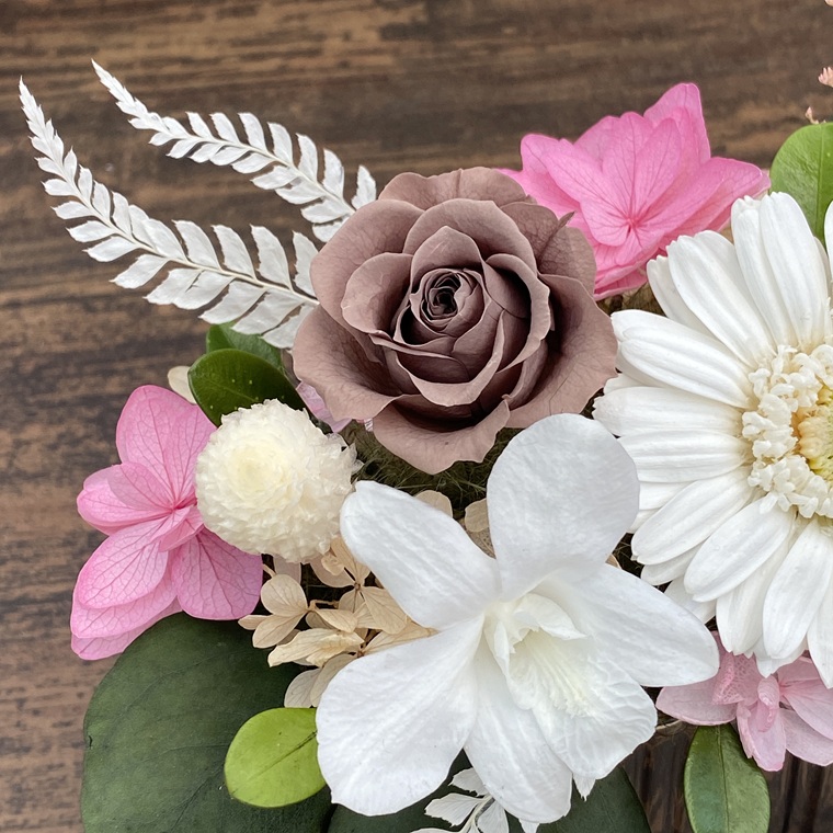 プリザーブドフラワー　サシャ　春日部市　シュガーパイン（AJ244）