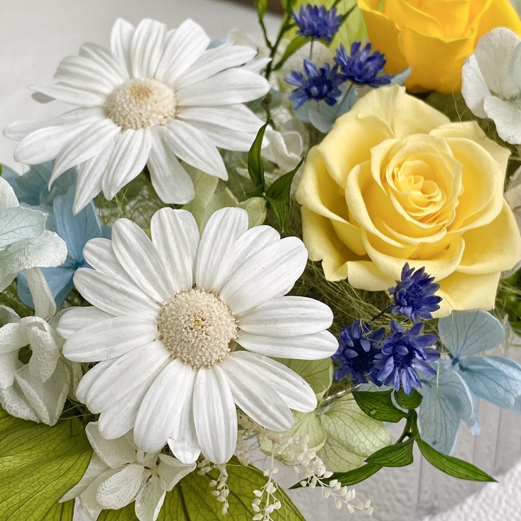 プリザーブドフラワー　ピュール　春日部市　シュガーパイン（AJ246）