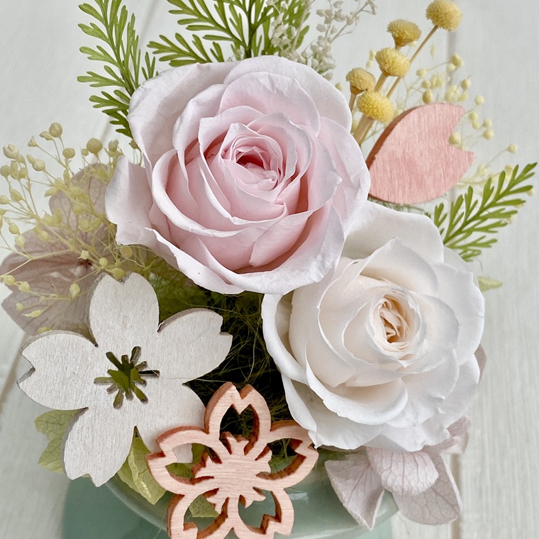 プリザーブドフラワー　舞桜（まお）　春日部市　シュガーパイン（AJ248）