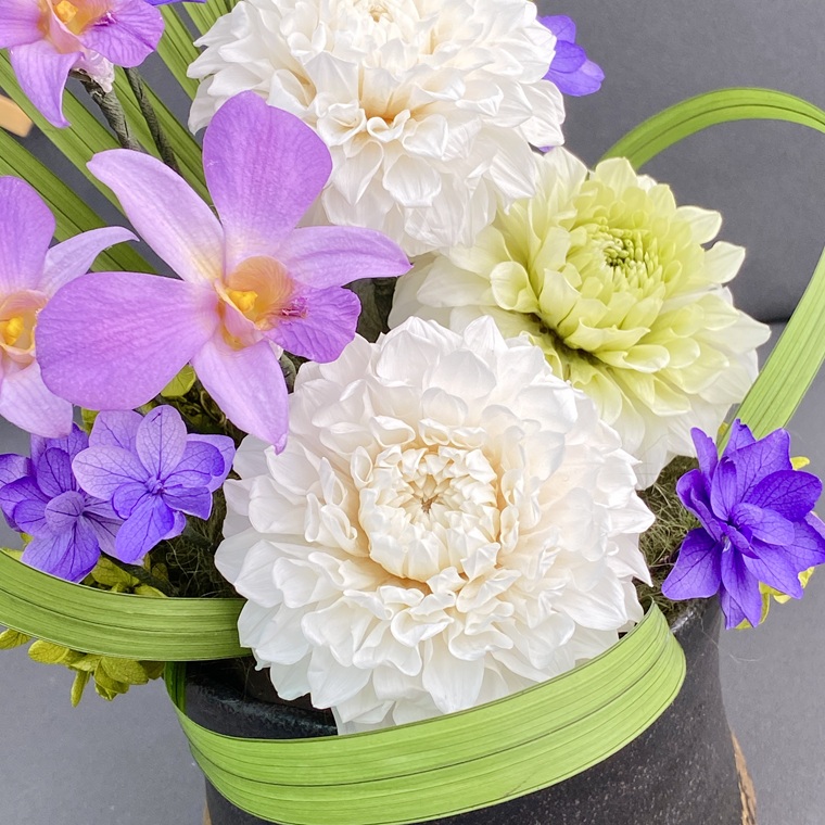 プリザーブドフラワー　誉（ほまれ）　春日部市　シュガーパイン（AJ263）