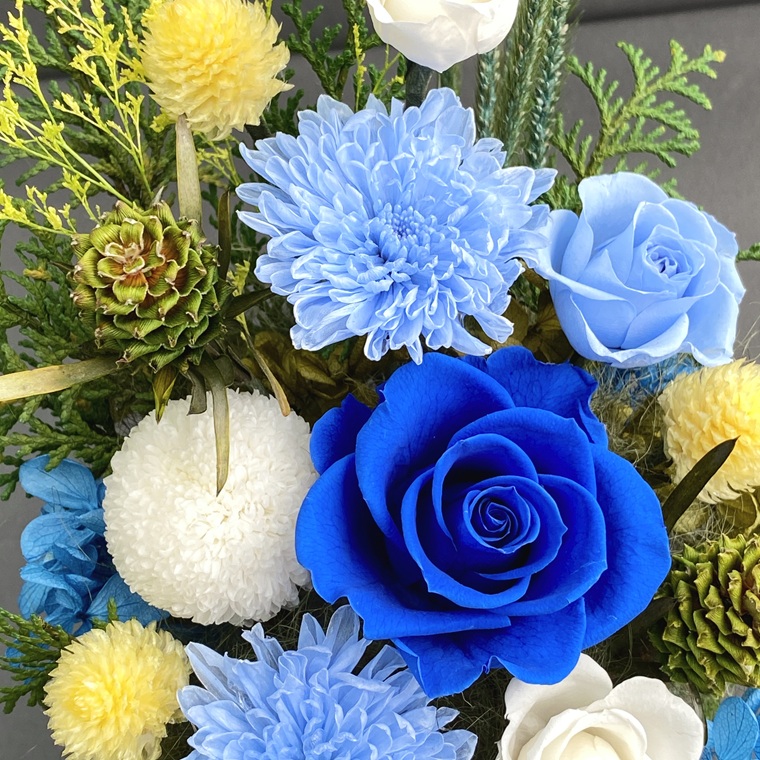 プリザーブドフラワー　青華（せいか）　春日部市　シュガーパイン（AJ266）