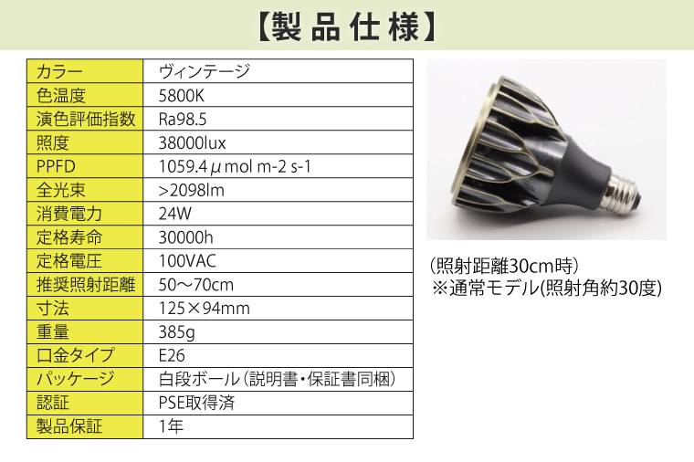 お部屋の癒し　観葉植物「アガベ（小島白刺）」と植物育成ライト「ヘリオスグリーンLED（ヴィンテージ）」の2点セット（BN012-1）