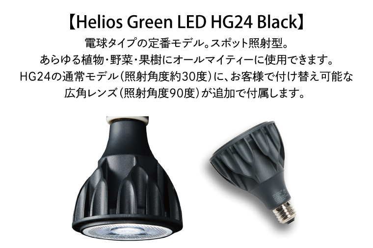 BN030　お部屋の癒し　観葉植物「アガベ（王妃甲蟹錦）」と植物育成ライト「ヘリオスグリーンLED（ブラック）」の2点セット