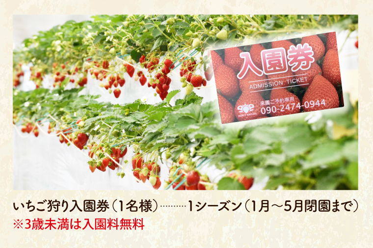 CS001-1 30分食べ放題　いちご狩り入園券（1名様）