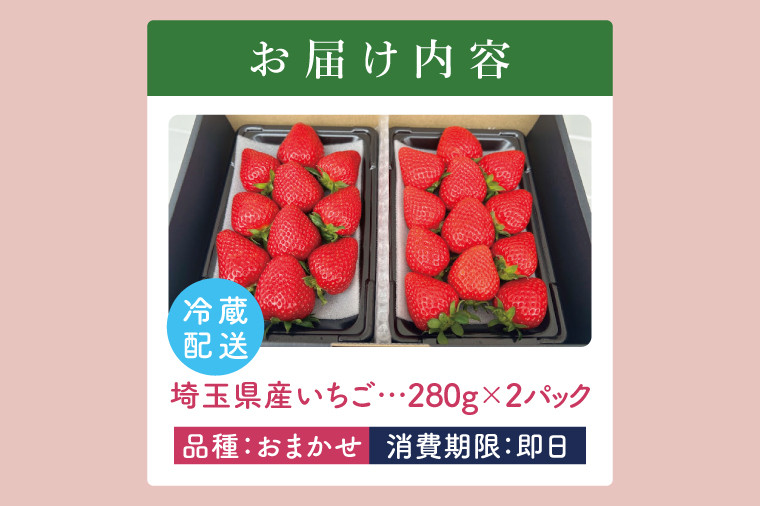 おまかせ食べ比べ2パック【埼玉県 春日部 いちご 2種食べ比べ フルーツ 贈答用】（DI003）