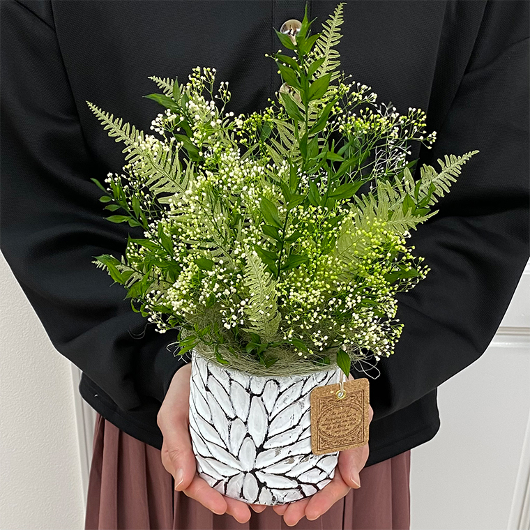 AJ169-1 プリザーブドフラワー【クロエ/ホワイト】春日部市 シュガーパイン