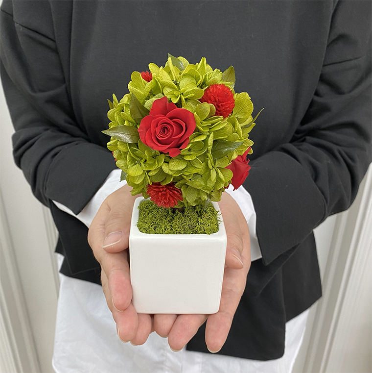 AJ184-1 プリザーブドフラワー【プティシュシュ/レッド】春日部市 シュガーパイン