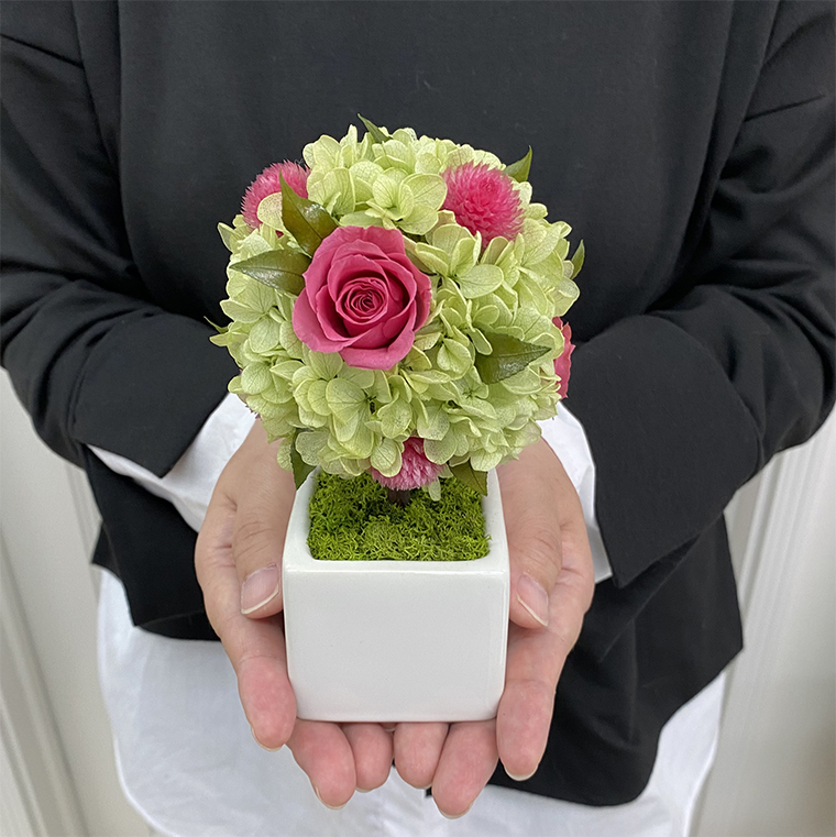 AJ185-1 プリザーブドフラワー【プティシュシュ/ピンク】春日部市 シュガーパイン