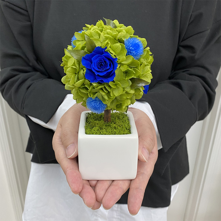 AJ186-1 プリザーブドフラワー【プティシュシュ/ブルー】春日部市 シュガーパイン