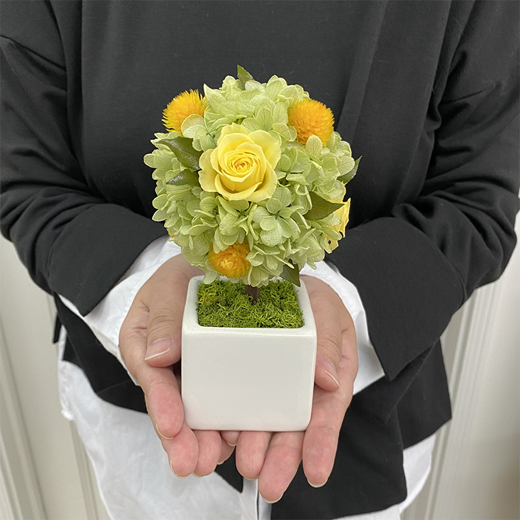 AJ187-1 プリザーブドフラワー【プティシュシュ/イエロー】春日部市 シュガーパイン