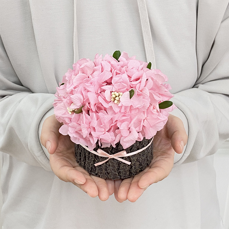 AJ219-1 プリザーブドフラワーさくらの木　春日部市シュガーパイン