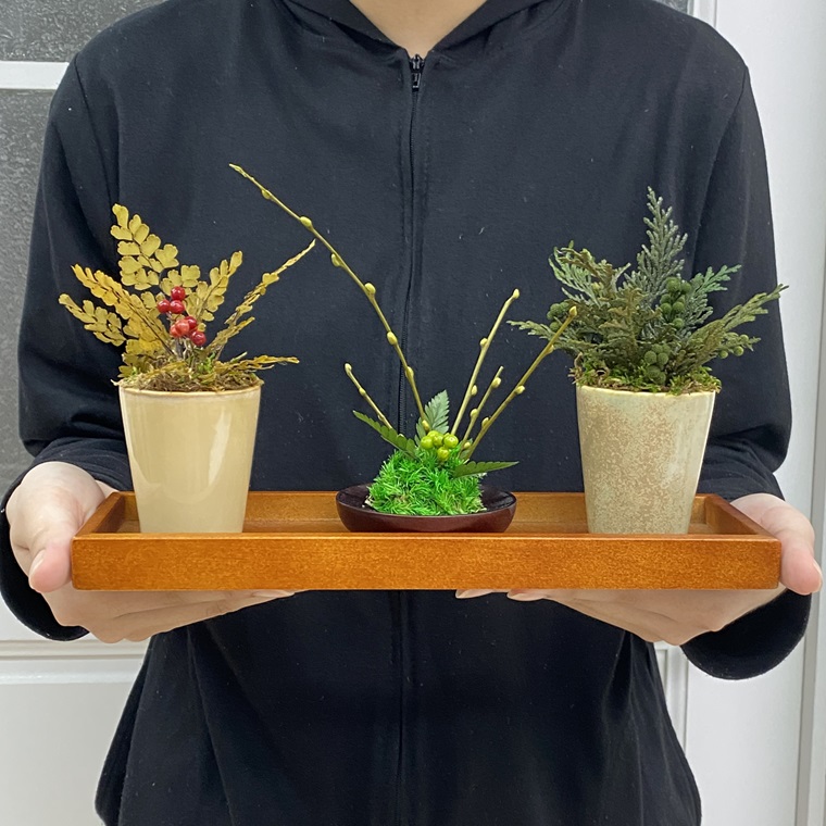 AJ238 プリザーブドフラワー　ミニ盆栽・ミニ観葉植物　３個セット　春日部市　シュガーパイン