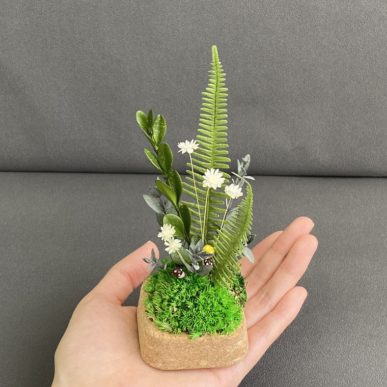 プリザーブドフラワー　トリル　春日部市　シュガーパイン（AJ247）