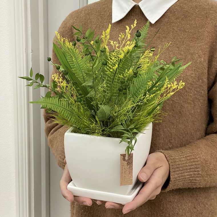 プリザーブドフラワー　ラシーヌ　春日部市　シュガーパイン（AJ262）