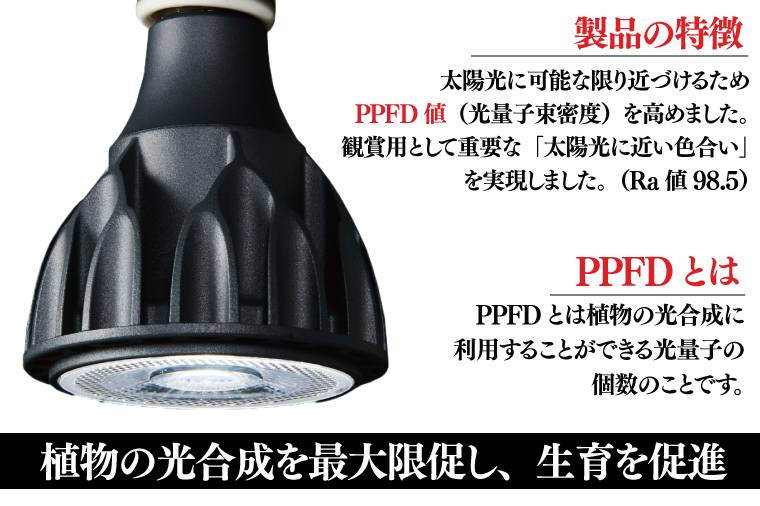 BN021-1　電球タイプの定番モデル10個セット。あらゆる植物・野菜・果樹にオールマイティーに使用できます。「ヘリオスグリーンLED (ブラック)」