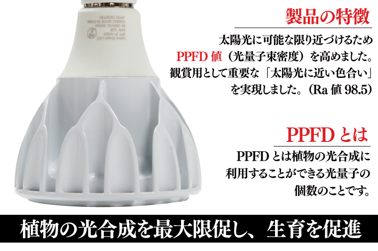 BN023-1　電球タイプの定番モデル10個セット。あらゆる植物・野菜・果樹にオールマイティーに使用できます。「ヘリオスグリーンLED (ホワイト)」