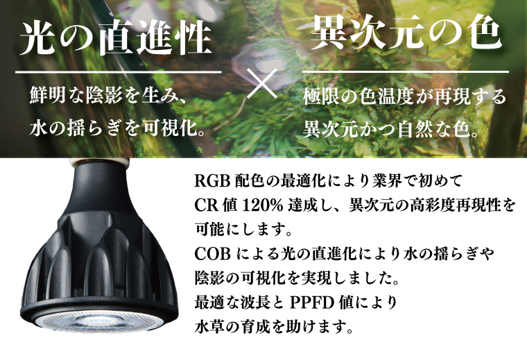 BN025-1　電球タイプのアクアリウム専用ライト。異次元の彩度、水の揺らぎ、水草の育成に優れています。「ヘリオスアクアLED (ブラック)」