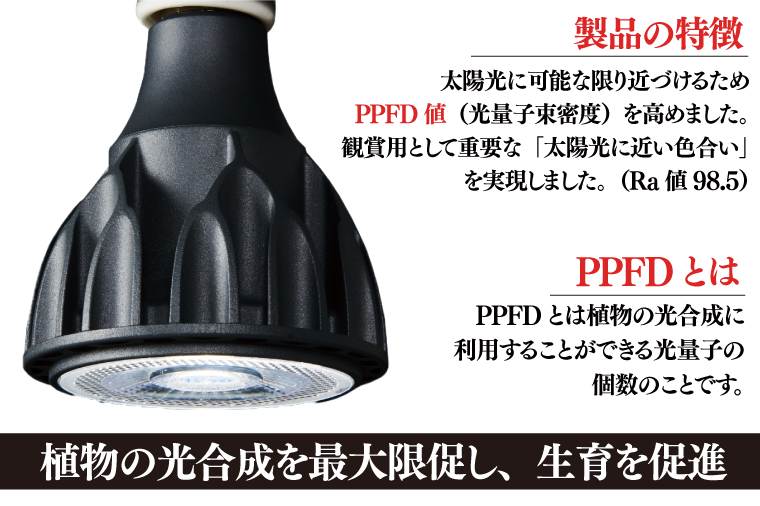 BN037　植物育成ライト「ヘリオスグリーンLED（ブラック）」