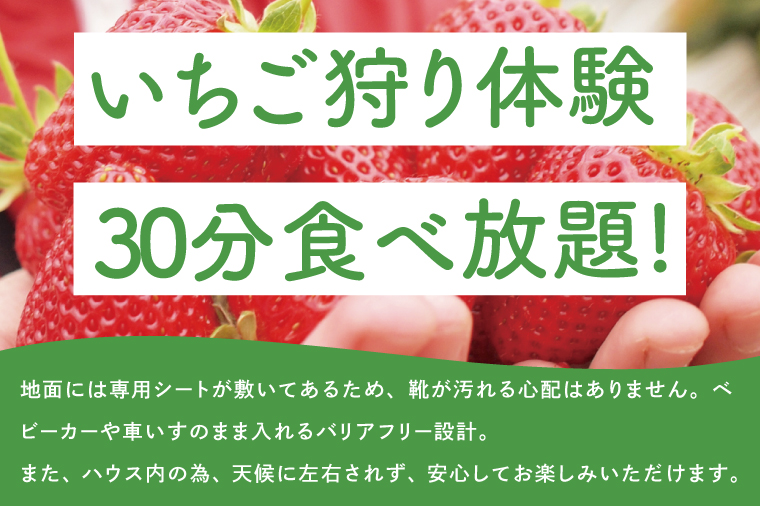 いちご狩りシニアチケット【埼玉県春日部いちご狩りシニア体験チケット観光農園】（DI012）