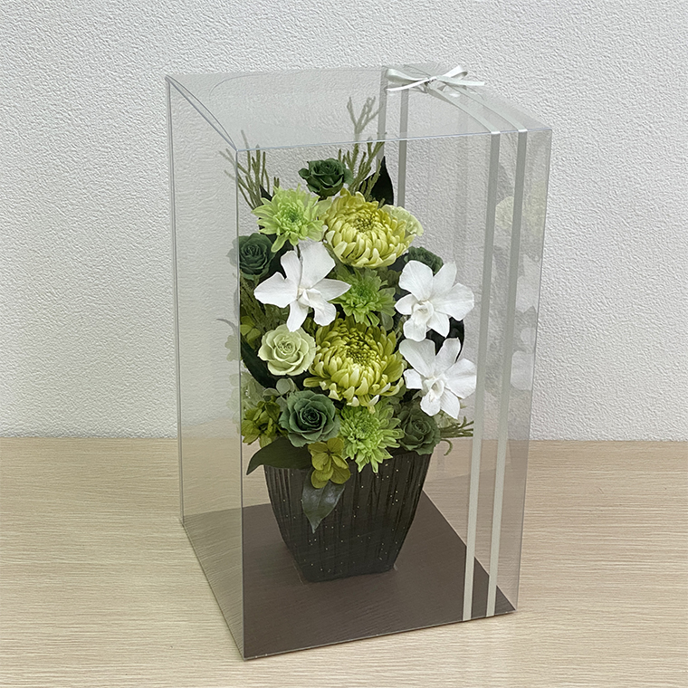 AJ142-2 プリザーブドフラワー 天寧 緑 春日部市 シュガーパイン