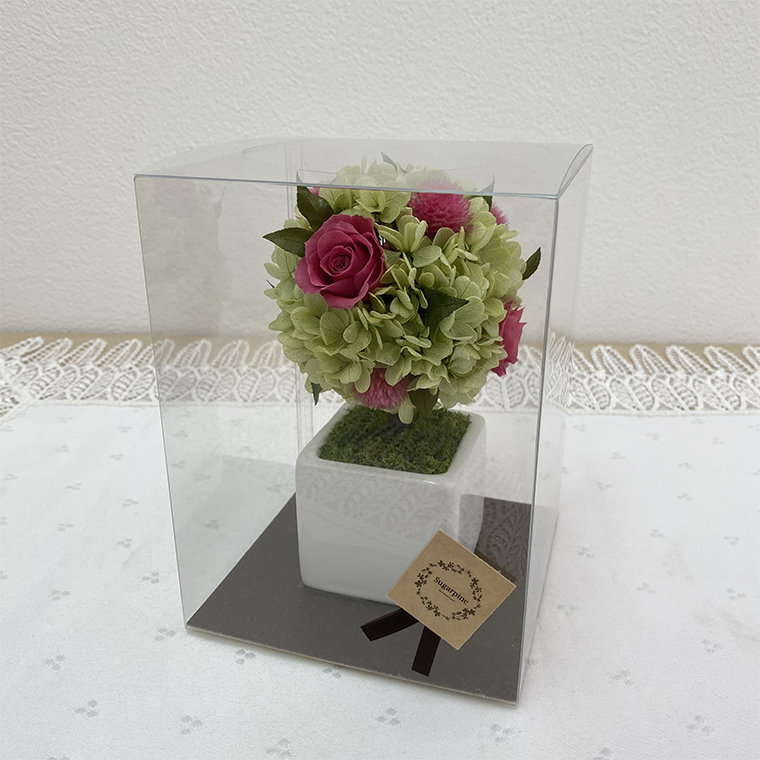 AJ185-1 プリザーブドフラワー【プティシュシュ/ピンク】春日部市 シュガーパイン