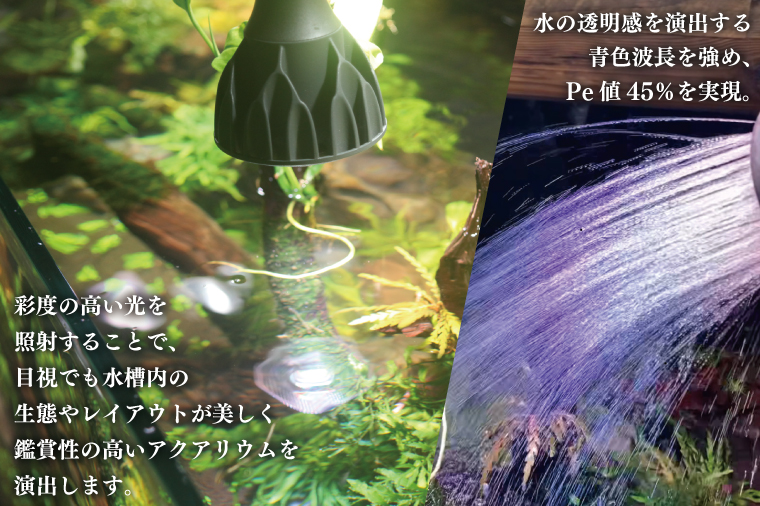 BN025-1　電球タイプのアクアリウム専用ライト。異次元の彩度、水の揺らぎ、水草の育成に優れています。「ヘリオスアクアLED (ブラック)」