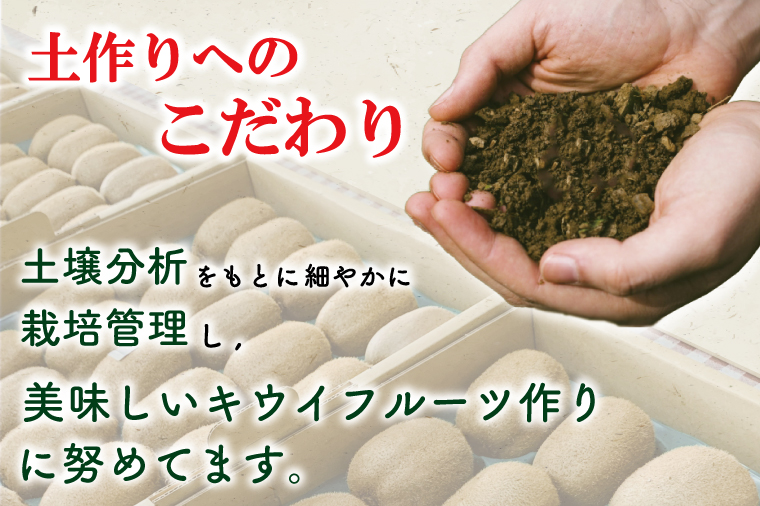 【先行予約】【ヘイワード約3.6kg】贈答用大箱大晴農園のキウイフルーツ（BY004-2）