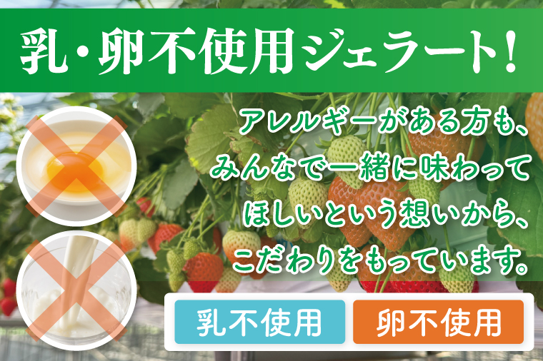 あまりんのジェラート　6個（CJ005）