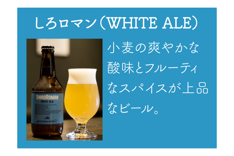 CO001-1 クラフトビール（赤沼ロマン）330ml×6本入