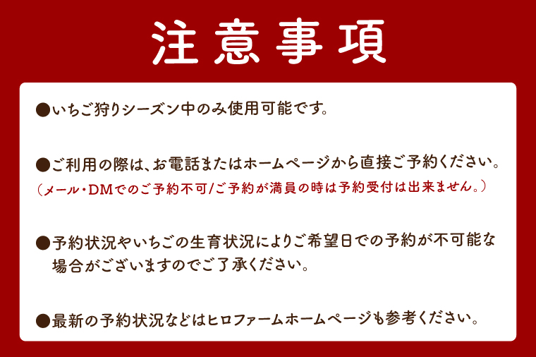 いちご狩り大人2名子供2名【埼玉県 春日部 いちご狩り 家族チケット 体験 型観光農園】（DI011）