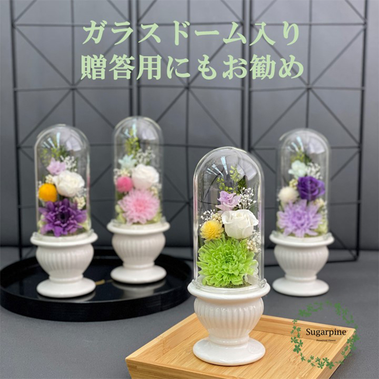 AJ125-1  プリザーブドフラワー　和花　緑　春日部市　シュガーパイン