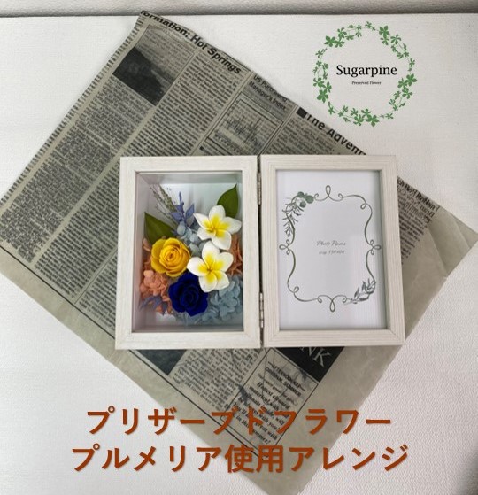 AJ128-1 プリザーブドフラワー【フォトフレーム・プルメリア】春日部市 シュガーパイン