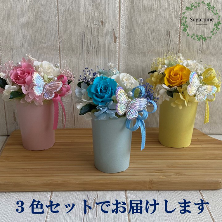 AJ155-1  プリザーブドフラワー フロットン３色セット イエロー／ピンク／ブルー 春日部市 シュガーパイン