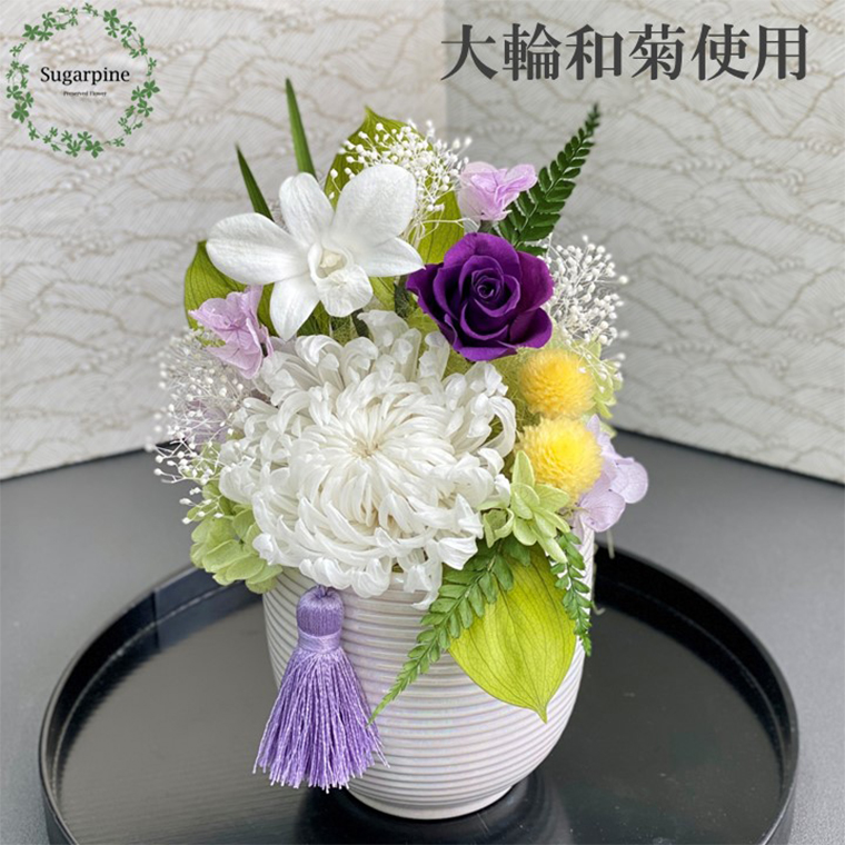 AJ166-2 プリザーブドフラワー 萌音（もね） 白  春日部市 シュガーパイン