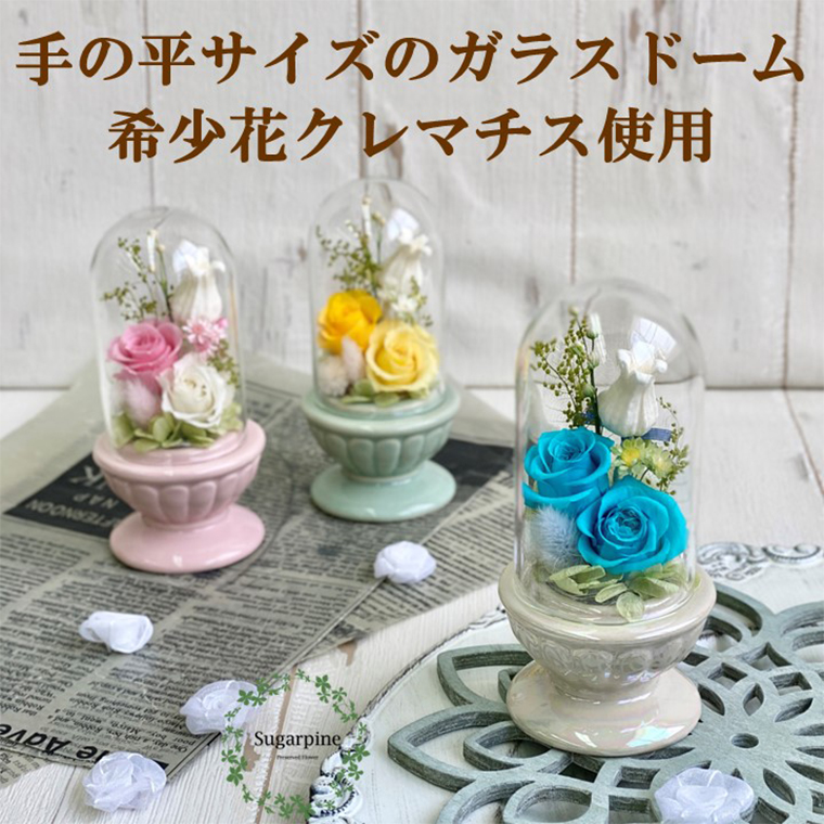 AJ183-1 プリザーブドフラワー　美羽　ブルー　春日部市 シュガーパイン